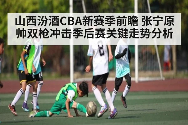 山西汾酒CBA新赛季前瞻 张宁原帅双枪冲击季后赛关键走势分析